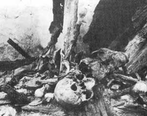 Wntrze grobu Kazimierza Jagielloczyka
